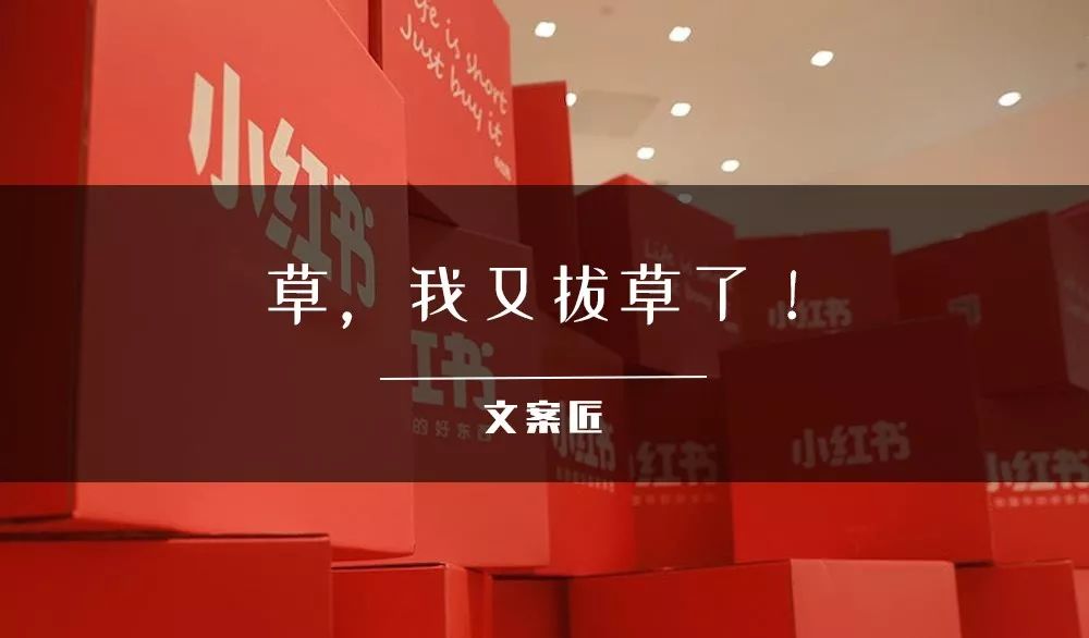 文案带「刺」，小红书