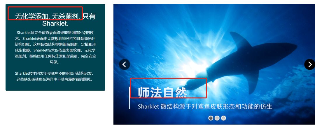 罗永浩即将暴打微商