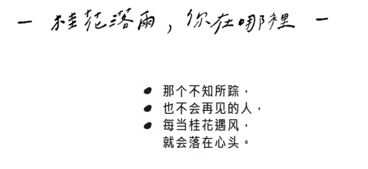 这些淘宝店铺文案，比双十二打折还诱人