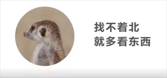 2019年，这30句文案最难忘