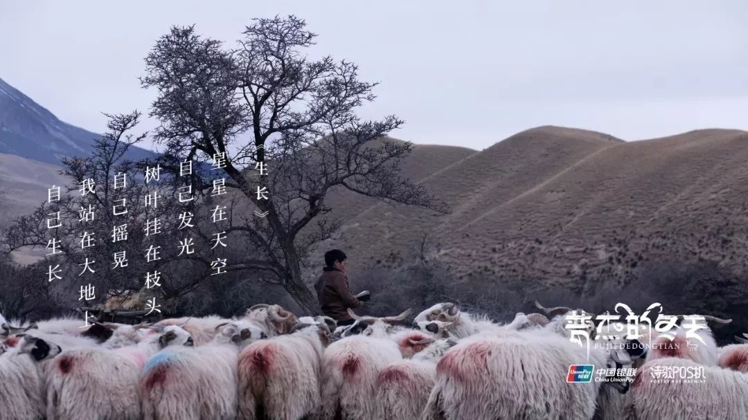 银联，是一个宝藏品牌！