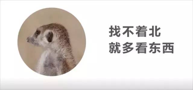 20句年度精选文案，品牌几何独家解析Why
