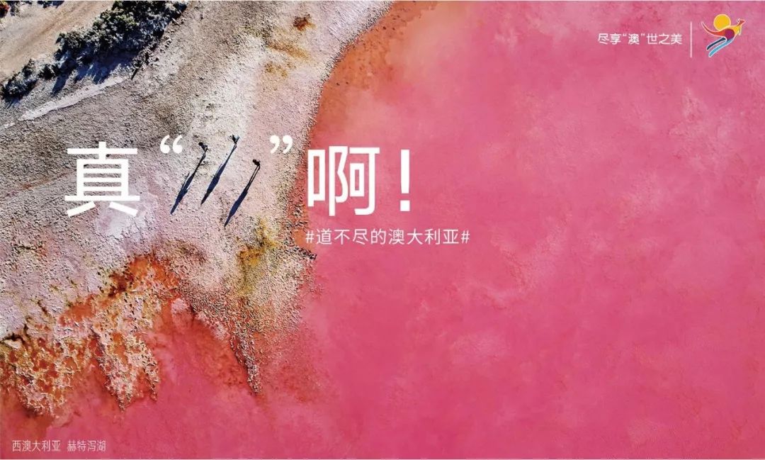 2019年有点想法的海报合集，累积让人拉开差距