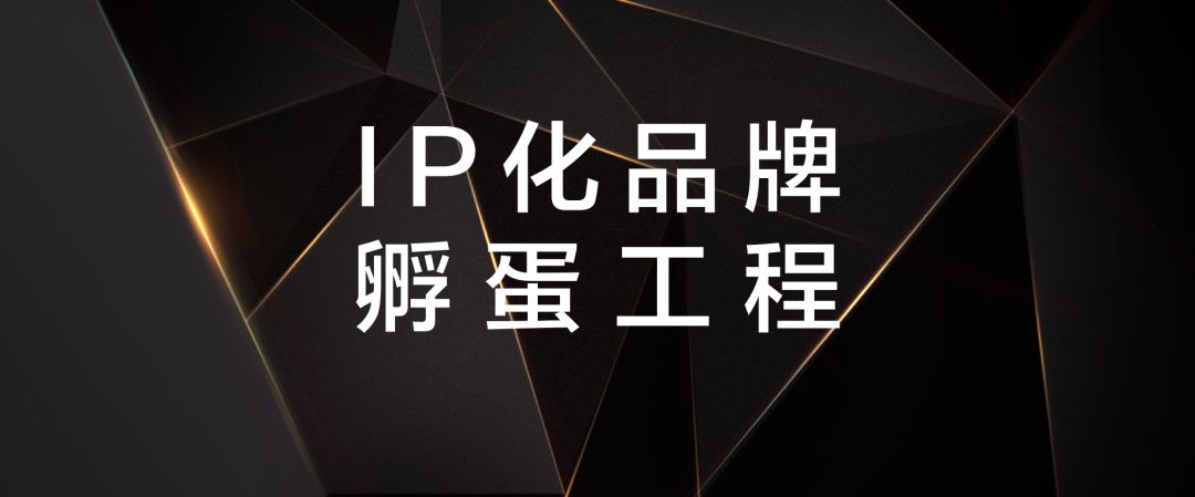 IP孵化如何真正落地？IP化品牌的孵蛋工程启动