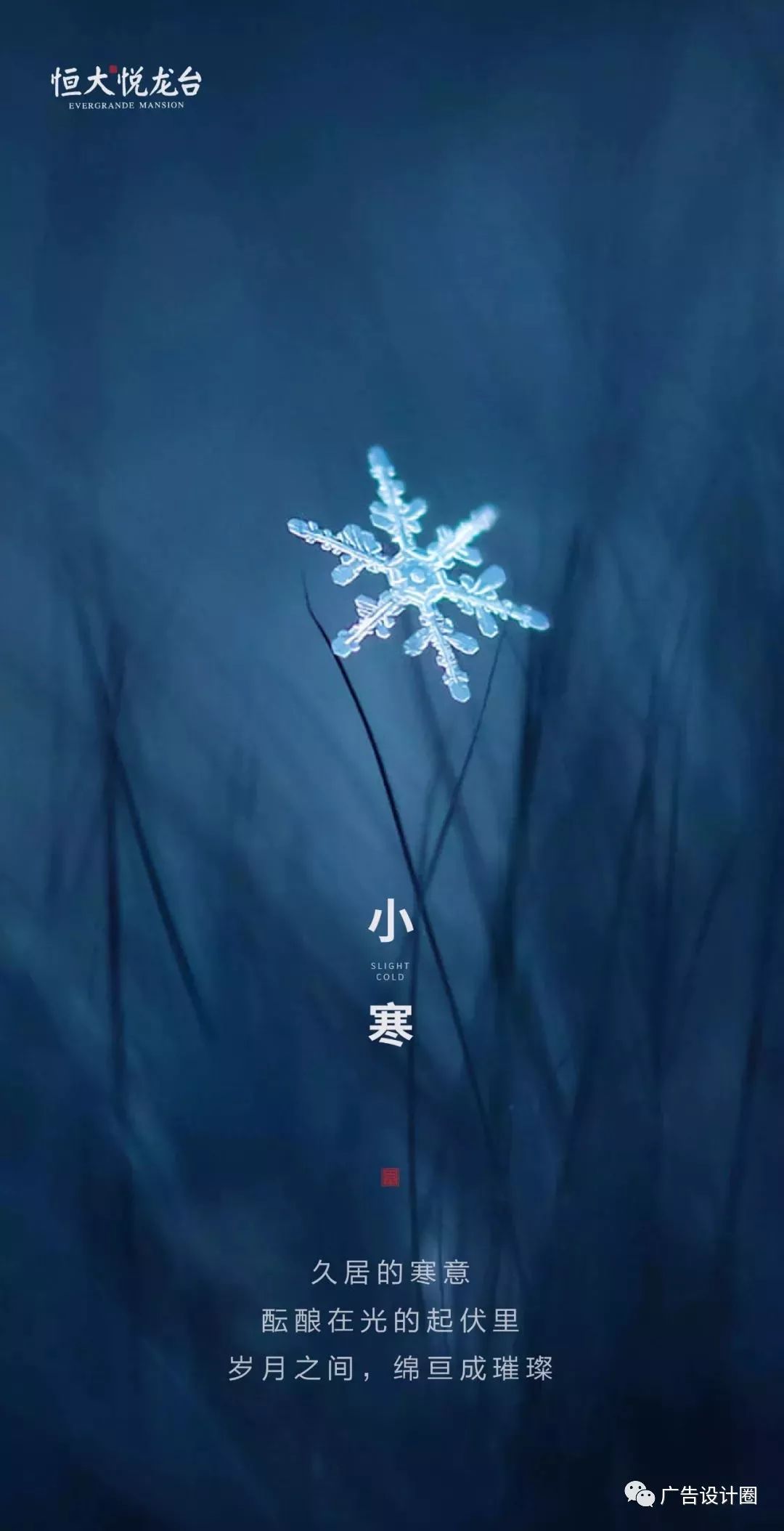 小寒借势海报
