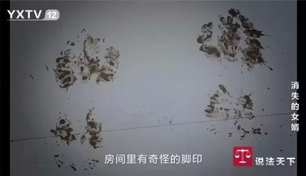 震惊！网易严选居然被《说法天下》曝光？？？