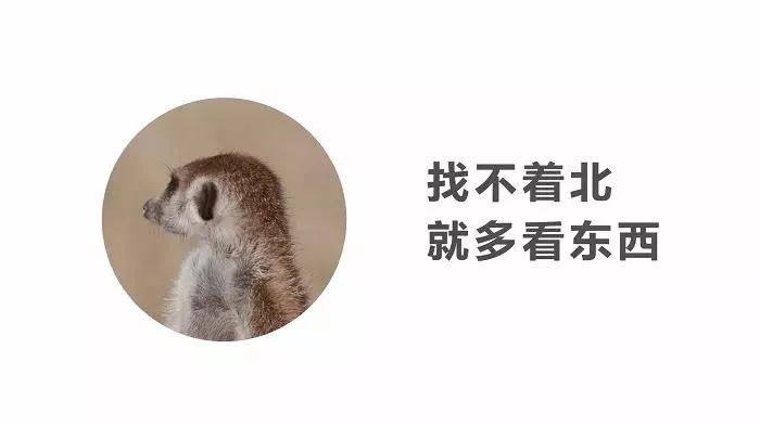 十类短句文案，给你文案灵感！