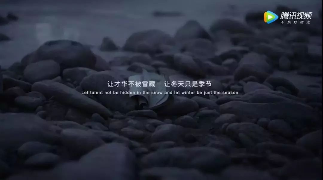2019十大公益广告