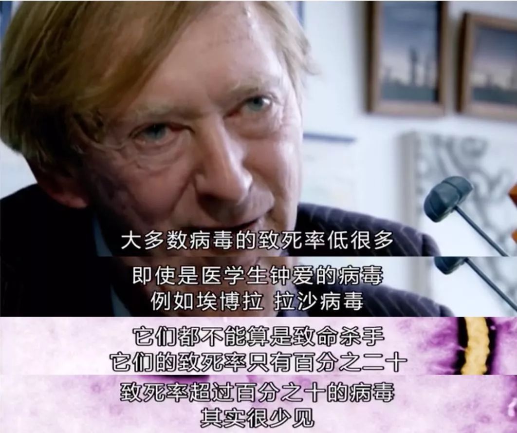 疫情感人短片文案，林俊杰孙燕姿谱曲文案，看哭数亿人