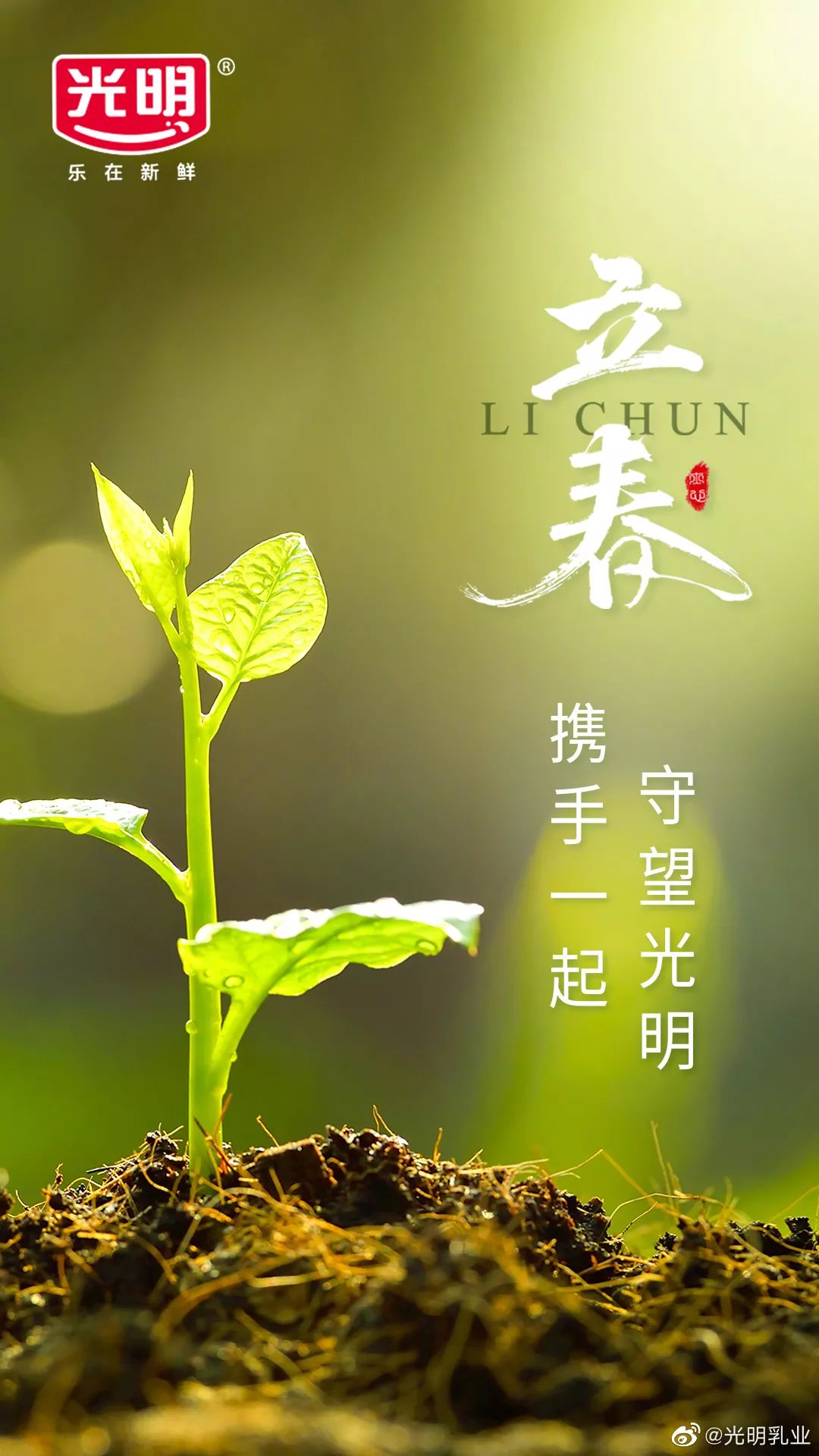今日立春，各品牌海报文案