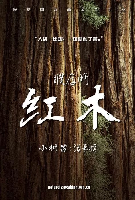“对不起，大自然不需要人类”，这支公益广告值得刷屏