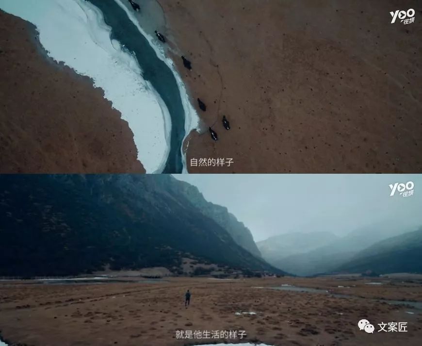 过去一年，44句值得手抄的文案