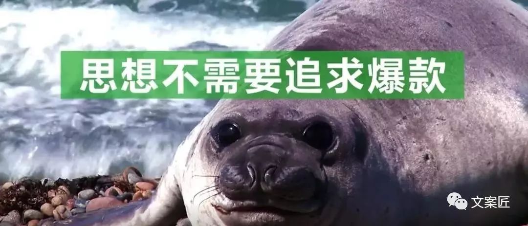 过去一年，44句值得手抄的文案
