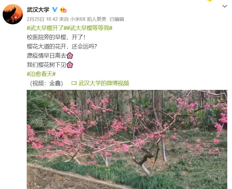 星巴克、coach、可口可乐...樱花限定来了！