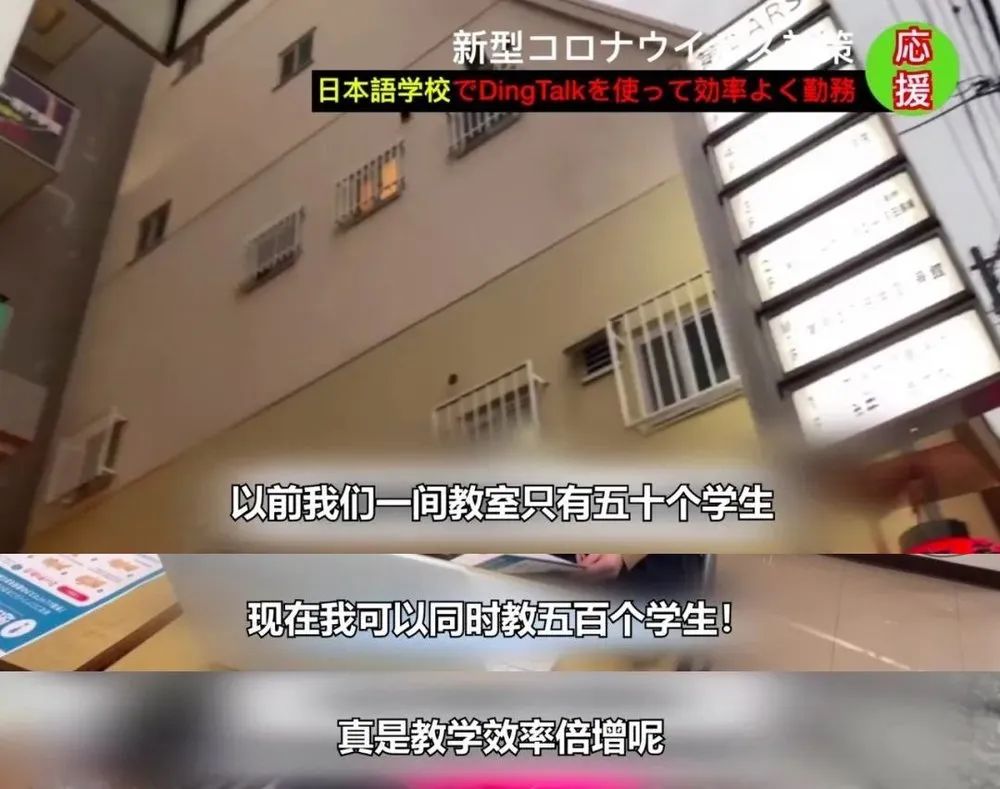 钉钉惨剧再来！日本出道，被小学生骂“变态”！中国网友：岂曰无课，与子同钉！