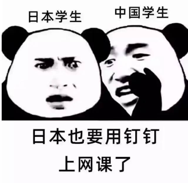 钉钉惨剧再来！日本出道，被小学生骂“变态”！中国网友：岂曰无课，与子同钉！
