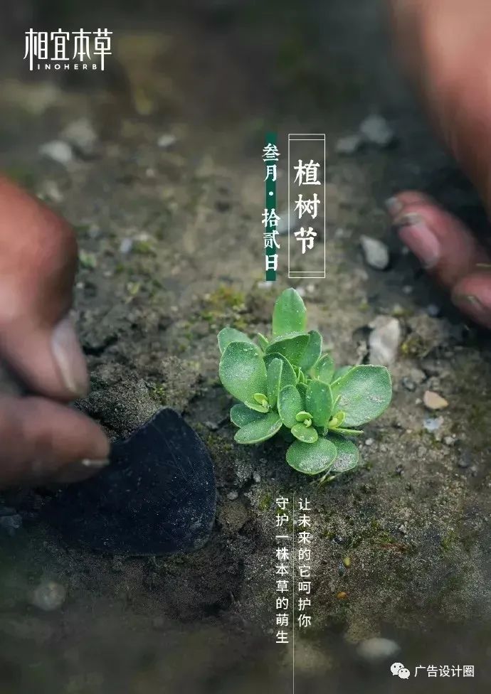 植树节海报