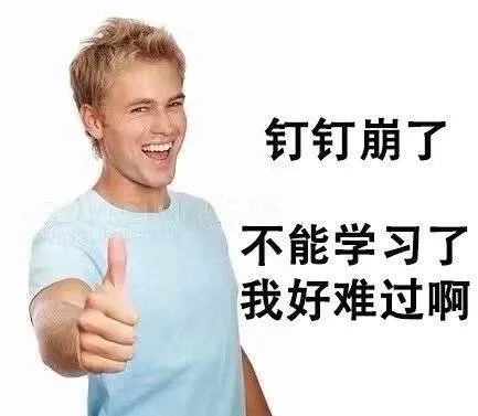 被小学生逼疯的钉钉，求放过