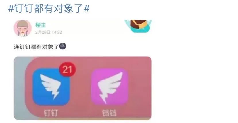 被小学生逼疯的钉钉，求放过