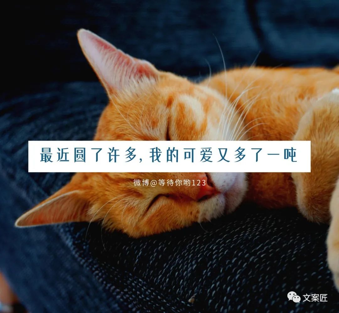 适合疫情结束时发的文案