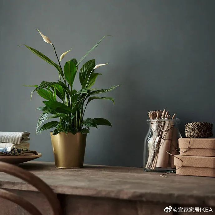 看了宜家的卖货文案 足不出户就感受到了春意