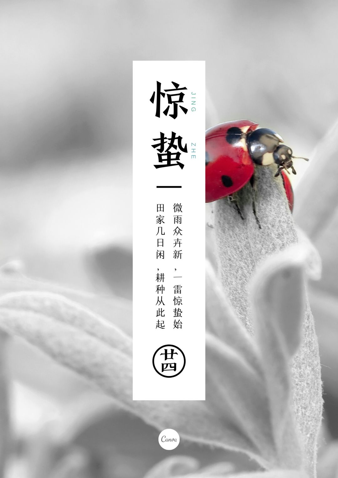 营销热点日历｜3月热点怎么追，创意灵感全在这