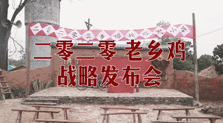 大火的老乡鸡发布会，背后有一整套IP化营销