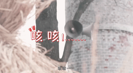 大火的老乡鸡发布会，背后有一整套IP化营销