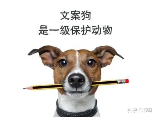 从文案菜鸟到资深文案的必备能力成长模型