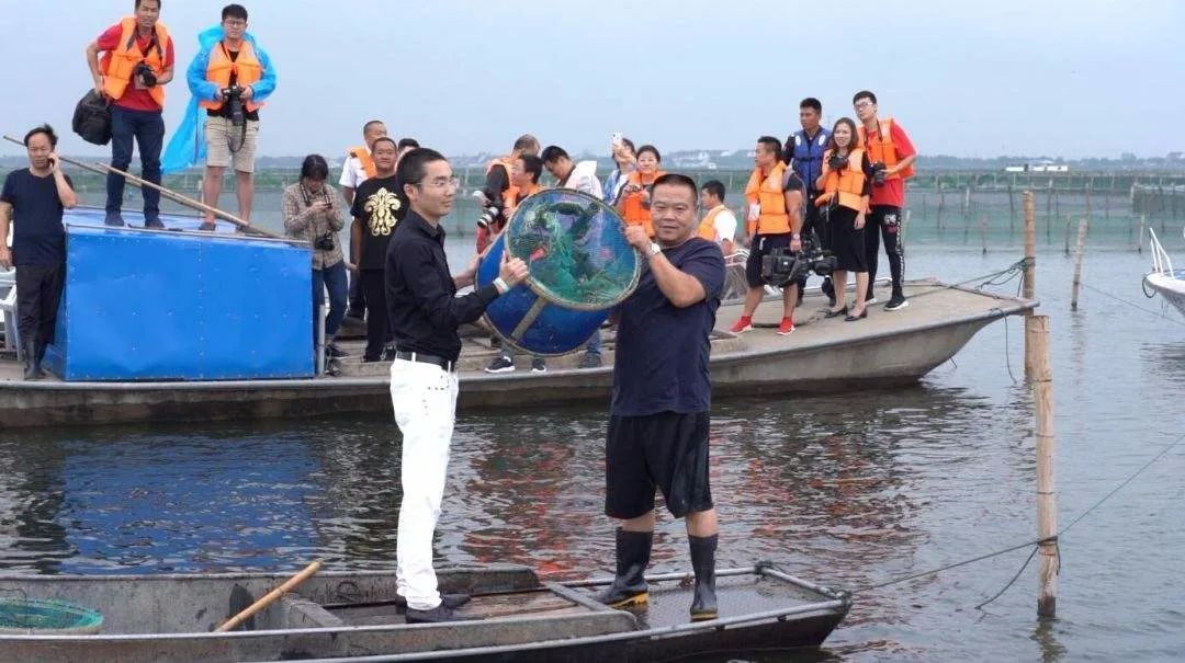 平地抠饼型公司，CXO们怎么分工？