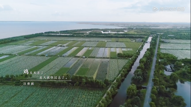 《风味人间》2开播，文案太下饭了！