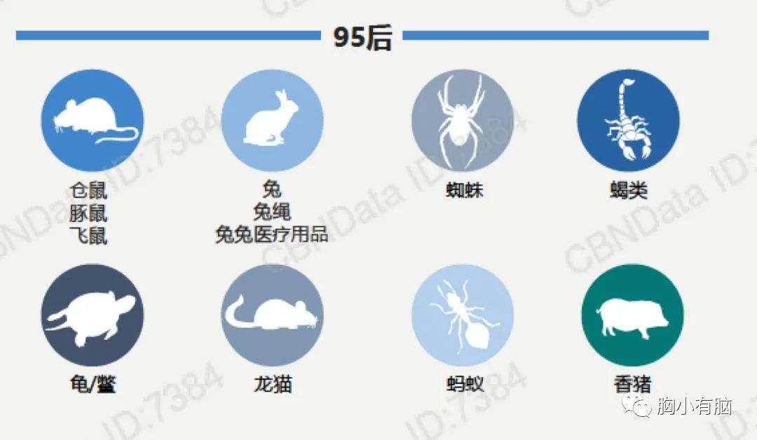 B站《后浪》刷屏营销策略最全复盘