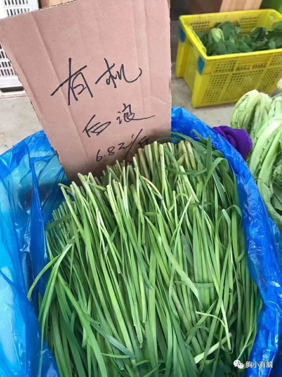 B站《后浪》刷屏营销策略最全复盘