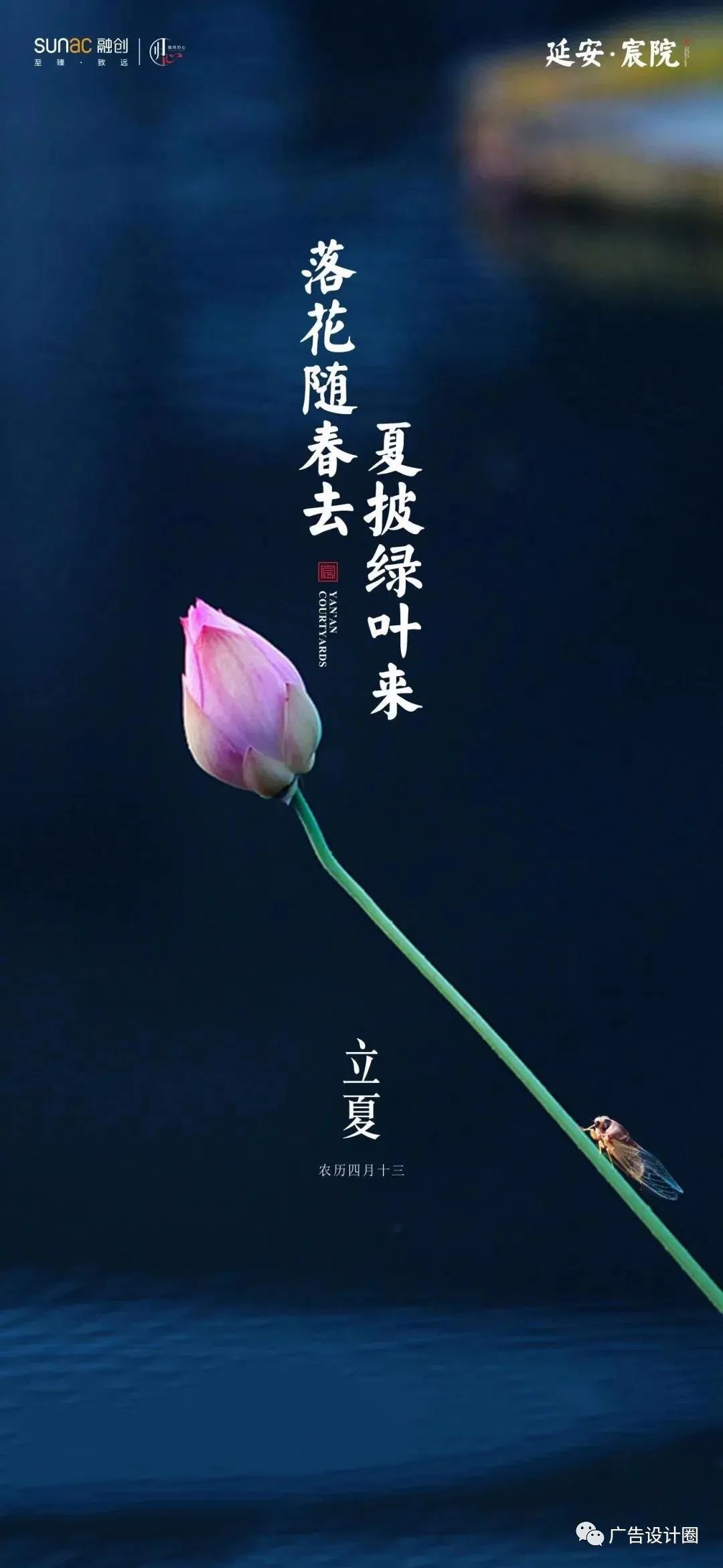 立夏借势海报