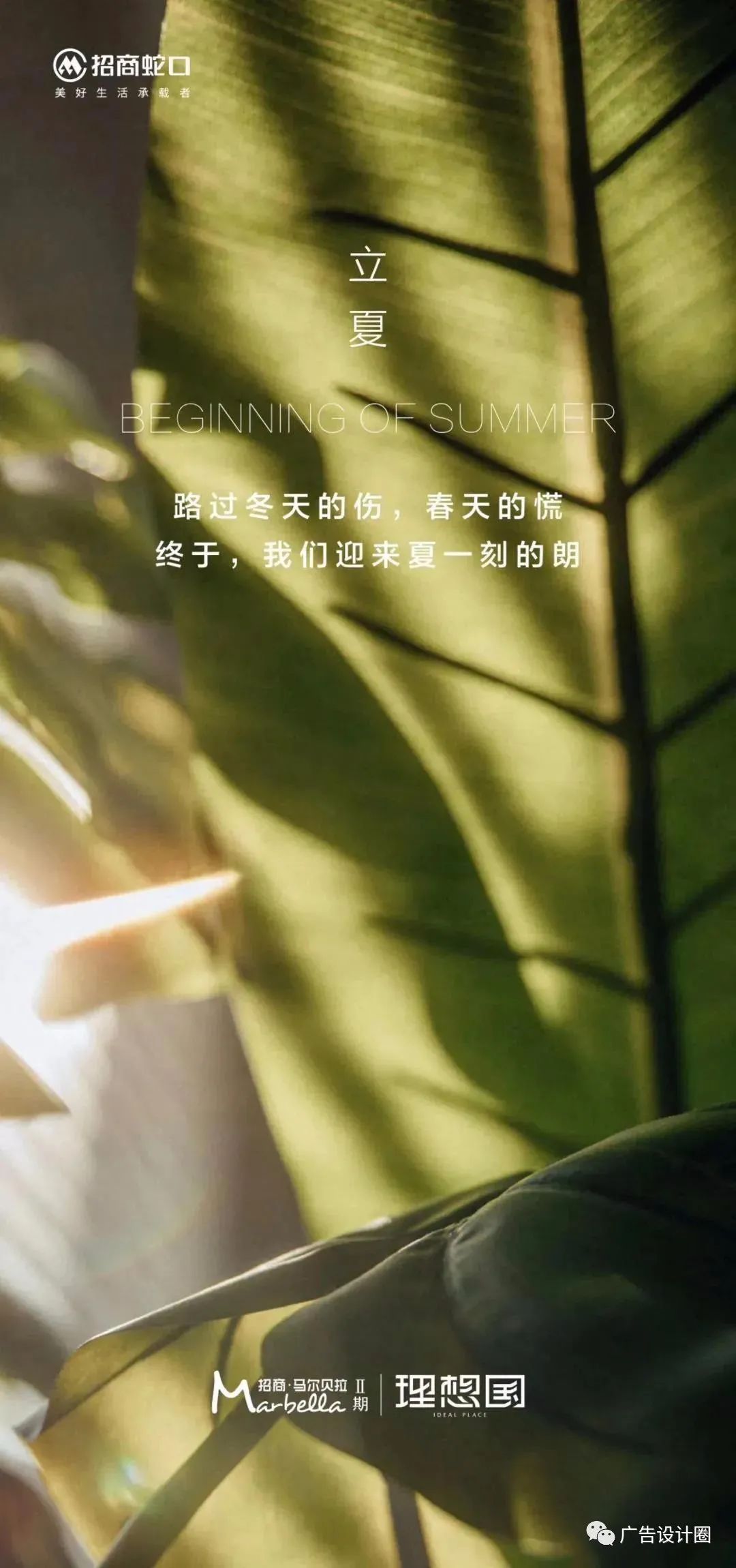 立夏借势海报