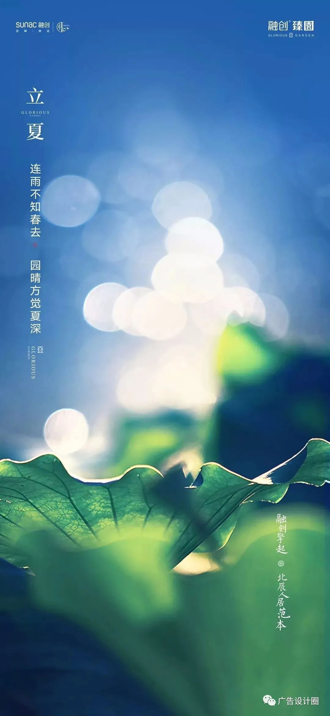 立夏借势海报