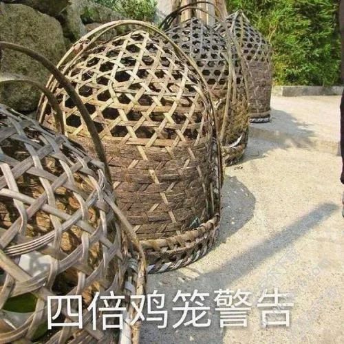 老乡鸡你太美