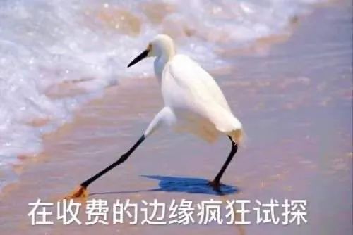 被杀熟的你,少的可不只是几块肉