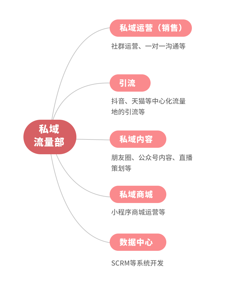 阻碍公司做私域流量、直播的三大组织问题