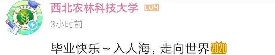 “后浪”之后，B站又携毛不易“入海”？