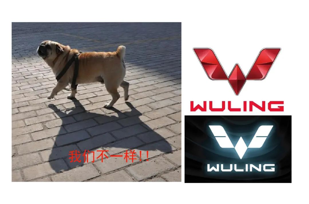 什么？五菱汽车换LOGO了？？
