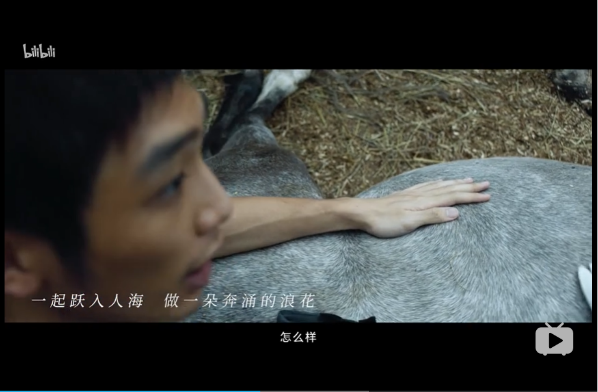 作为95后，我没那么讨厌《后浪》，也没那么喜欢《入海》