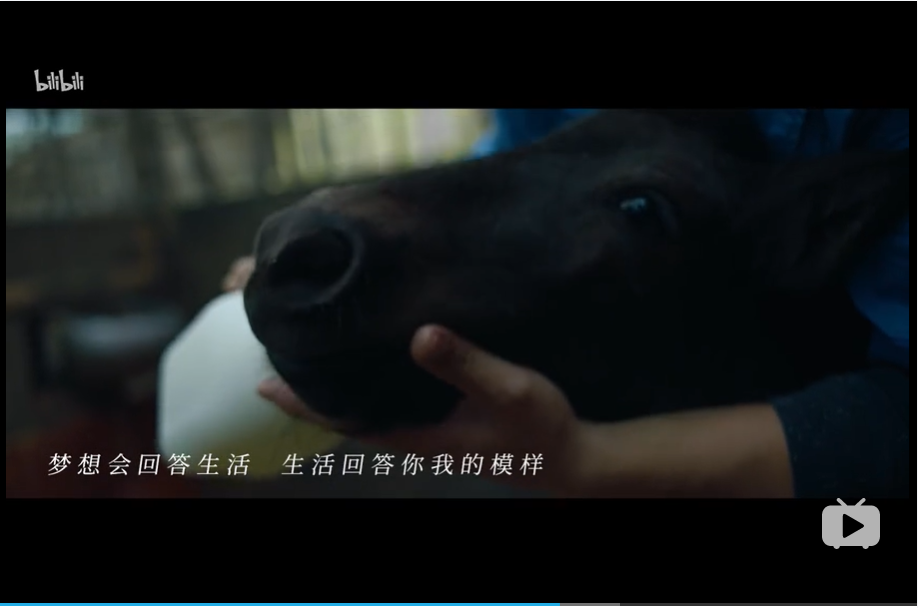 作为95后，我没那么讨厌《后浪》，也没那么喜欢《入海》