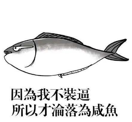 闲鱼是小红书2.0吗？