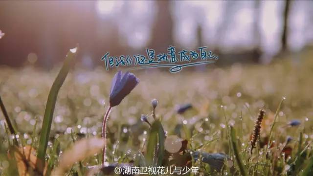 火了的不止姐姐，还有百万文案吴梦知！