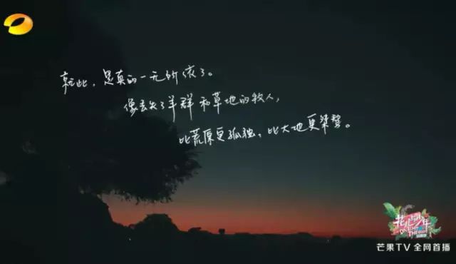 火了的不止姐姐，还有百万文案吴梦知！