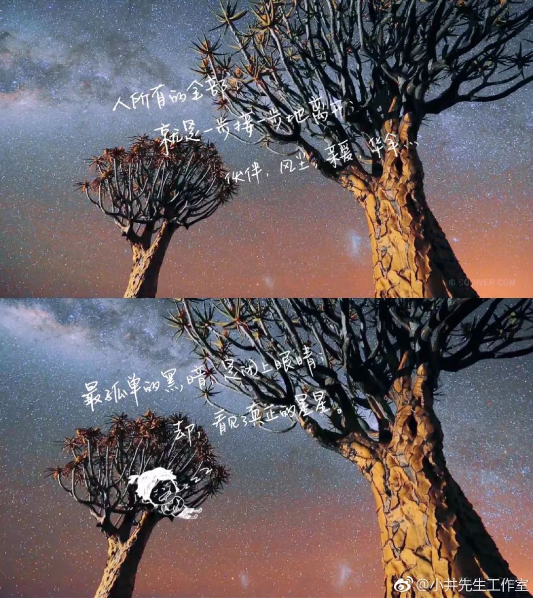 火了的不止姐姐，还有百万文案吴梦知！