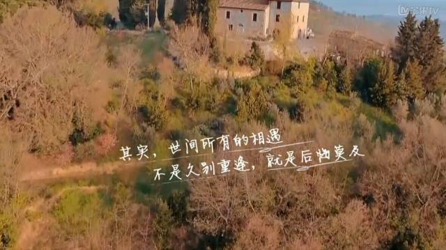 火了的不止姐姐，还有百万文案吴梦知！
