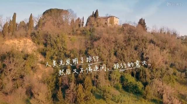 火了的不止姐姐，还有百万文案吴梦知！