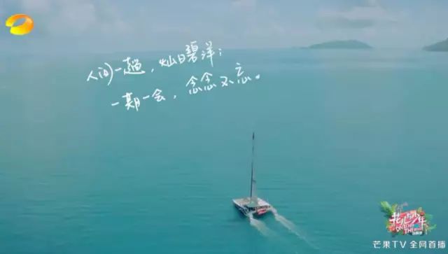火了的不止姐姐，还有百万文案吴梦知！